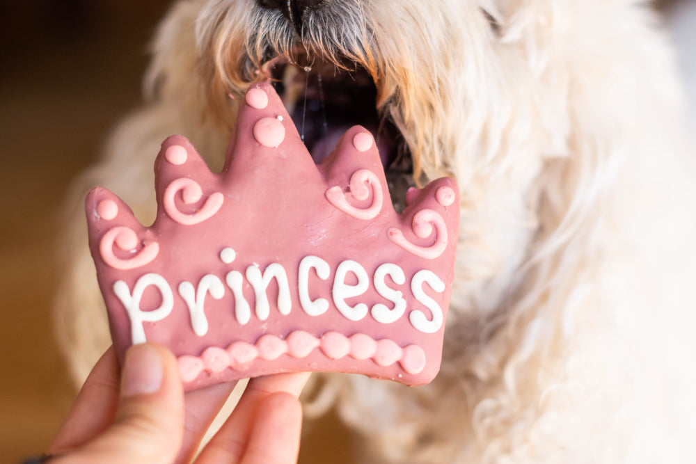 How to Make Icing for Dog Cookies