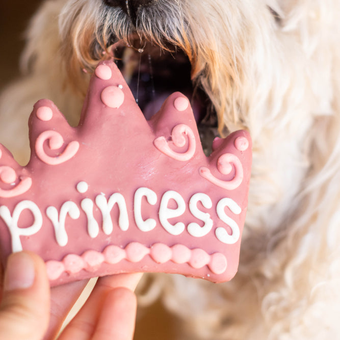 How to Make Icing for Dog Cookies