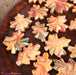 Ann Clark Cookie Cutter MINI Maple Leaf Cookie Cutter 2 1/4"