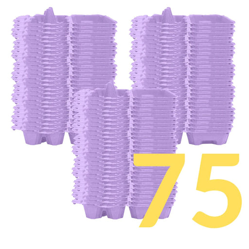 BULK option set of 75 - Jumbo XL Size Egg Cartons - The Cookie Countess