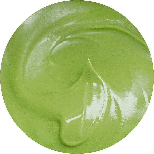 succulent food coloring Cookie Countess Gel Food Color 2oz