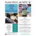 Never Forgotten Designs Flash Dust Flash Dust Natural Glitter - Mint Green 3g