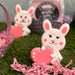 The Cookie Countess Cookie Cutter Bunny with Heart Cookie Cutter 3.5" X 4"