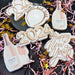 The Cookie Countess Digital Art Download Happy New Year Headband - Digital Download, Cutter and/or Artwork